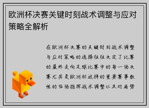 欧洲杯决赛关键时刻战术调整与应对策略全解析